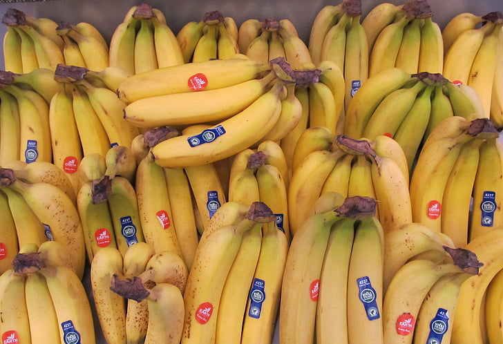 banāni, dzeltena, svaigu, augļi, veselīgi, neapstrādāta, Nogatavojies