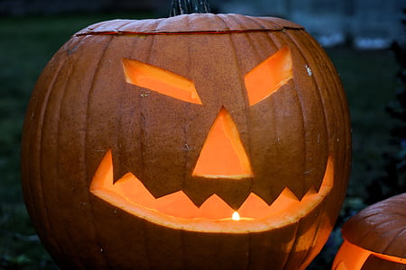pumpa, Halloween, hösten, dekoration, Deco, hösten dekoration, dekorativa squash