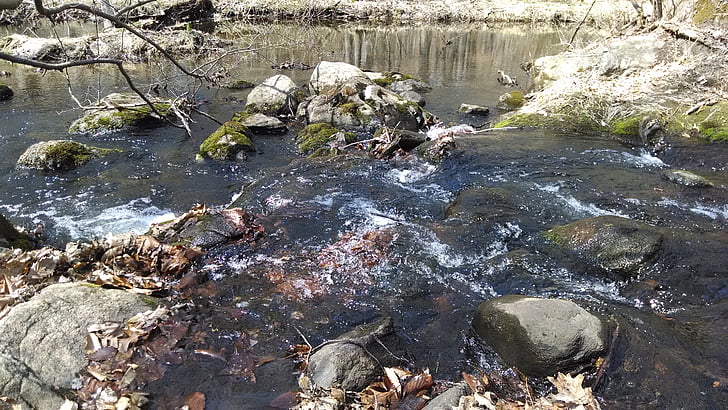 Rapids, acqua, diretta streaming, natura