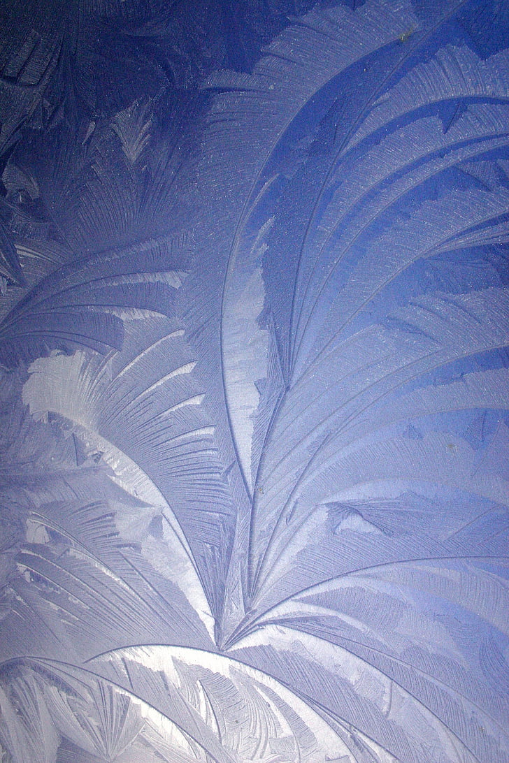 ice flowers, winter, christmas, iced, wintry, backgrounds, pattern