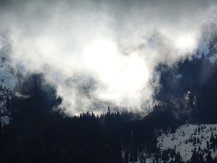nature, landscape, mountain, travel, adventure, fog, trees