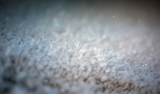 desenfoque de, Close-up, frío, enfoque, Frost, Frosty, congelados