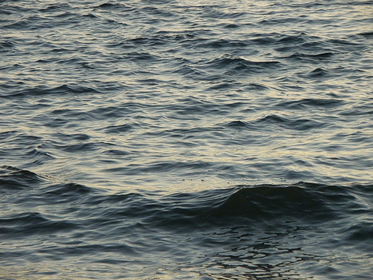vagues, surface, mer, Lac
