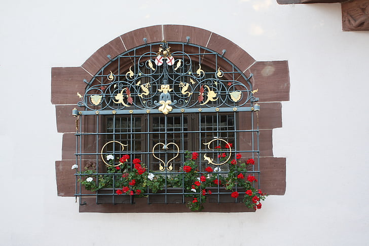 fenêtre de, bâtiment, Page d’accueil, mur, grille, plante, fleurs