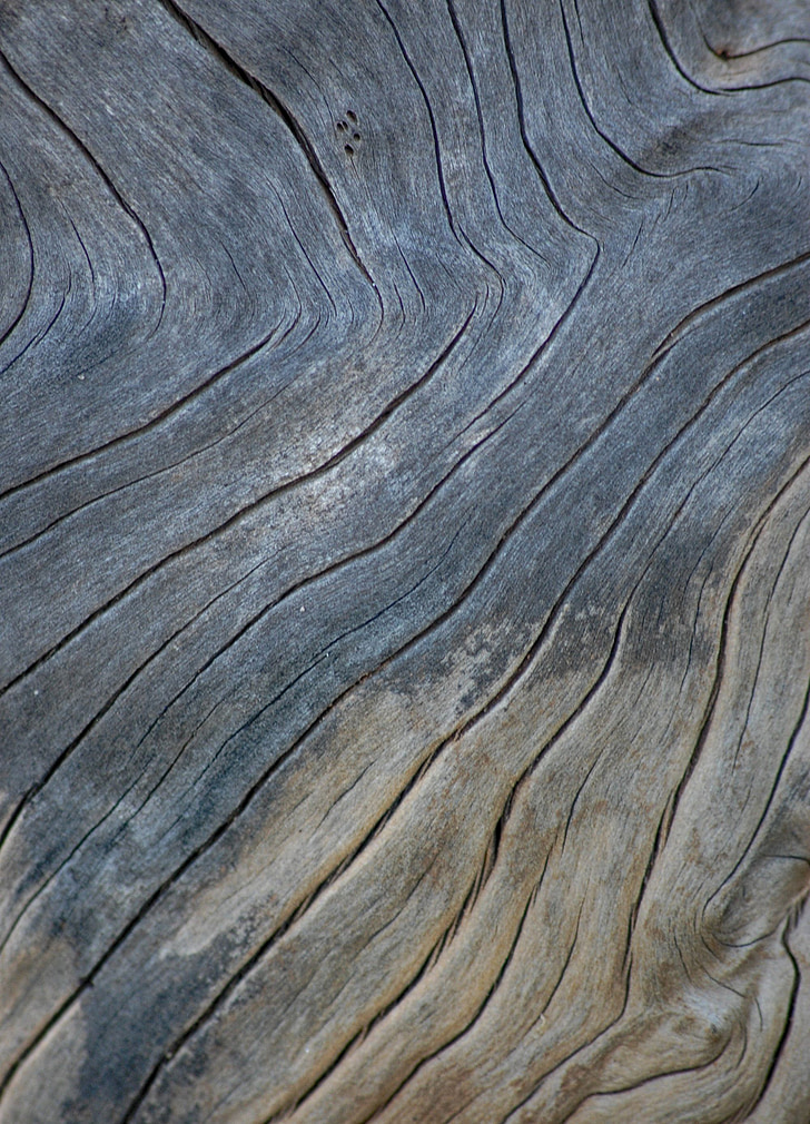 fusta, fons de fusta de textura, gra, natura