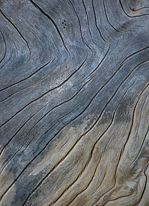 dřevo, Dřevěná textura pozadí, zrno, Příroda