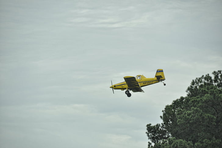 flyvemaskine, flyvning, afgrøde duster, landbrug, gul, blå, hastighed