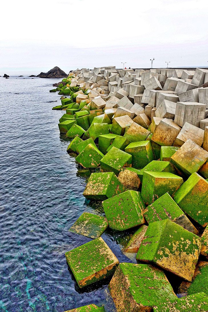 concrete blocks, sea, green, breakwater, protection, seascape