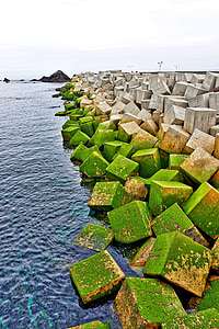 bloques de hormigón, mar, verde, rompeolas, protección, paisaje marino