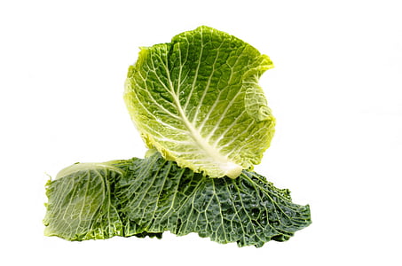Kale, zelená, bílá, závod, izolovaný, vegetariánské, listoví