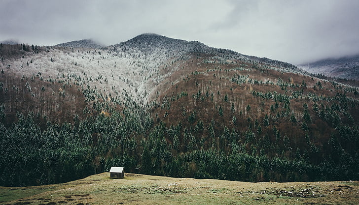sneh mountain, lesných stromov, sneh, Príroda, Mountain, scenérie, horskej krajiny