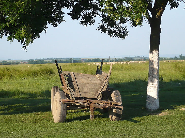 country, wagon, old, wooden, farming, tree, landscape