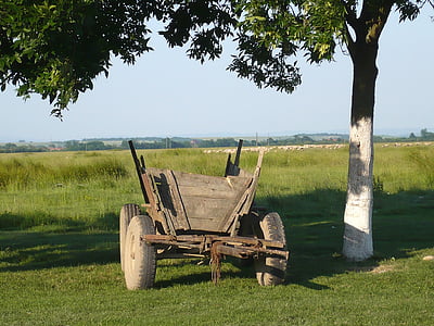 country, wagon, old, wooden, farming, tree, landscape