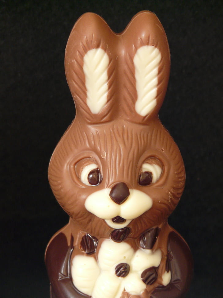 easter bunny, easter, chocolate, brown, man, hare, figure