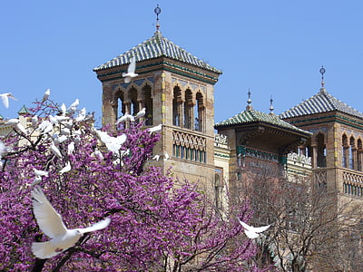 doves, flight, seville, architecture, famous Place