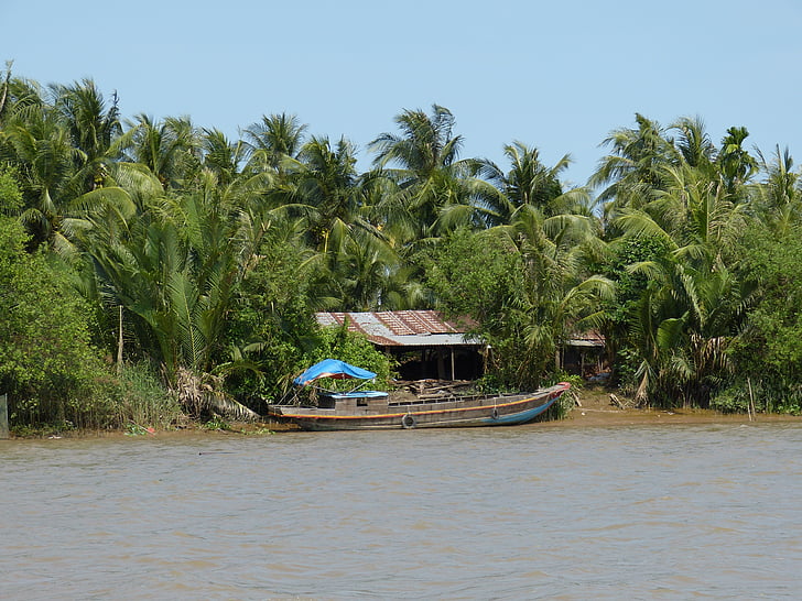 Vietnam, řeka Mekong, Mekong delta, řeka, Doprava, loď, Tropical