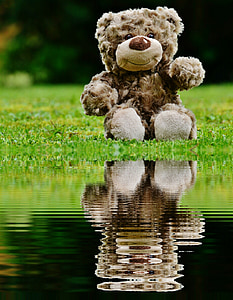 Teddy, Plyšová hračka, zrkadlenie, vody, banka, Plyšák, Medvedík
