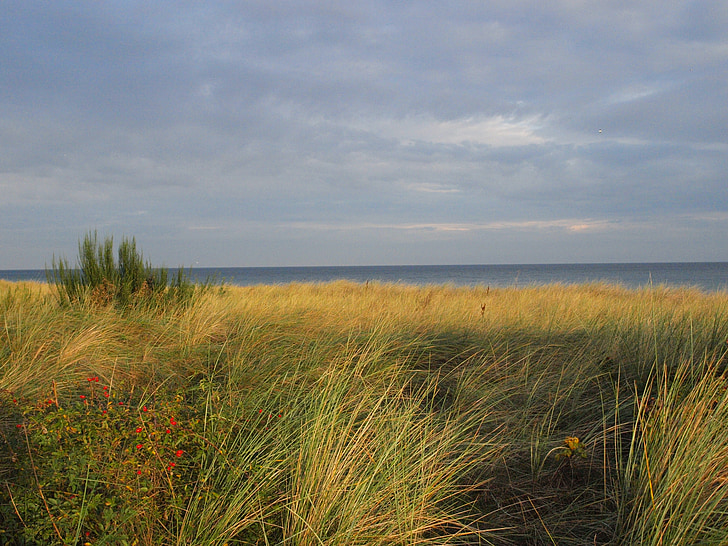 Duin, Baltische Zee, zee, Duin gras, kust, kustlandschap, herfst