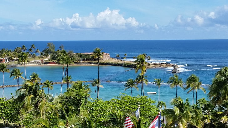 dovolená, Portoriko, Tropical, ostrov, oceán, kokos