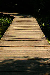 Boardwalk, Forest, náučný chodník, Web, drevo, Príroda, hnedá