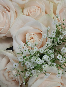 roosid, valged lilled, roosid