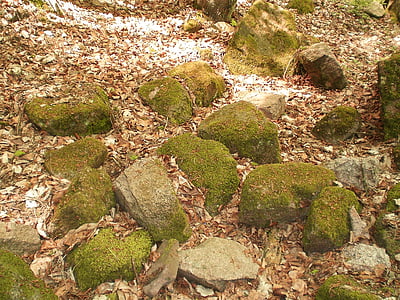 stones, nature, moss, weathered, forest floor, outdoors, rock - Object