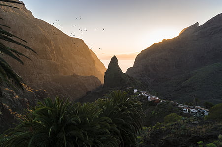 cliffs, mountains, nature, palm trees, palms, sunset, mountain