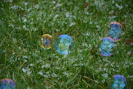 grass, tree, reflections, soap bubbles, fragility, focus on foreground, day