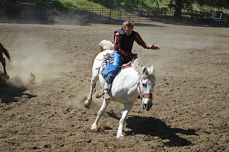 talahi, bronch, bareback, ride, horse, cowboy, animal