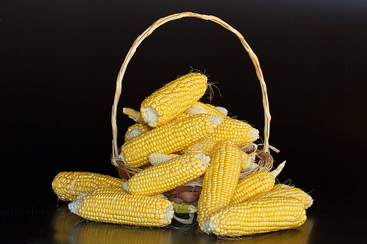 kukurūzų, mealies, kukurūzų, saldieji kukurūzai, geltona, krakmolo, angliavandeniai