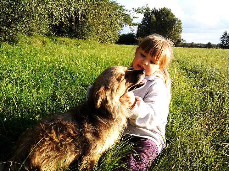 дете, малко момиче, куче, Слънцето, трева, природата