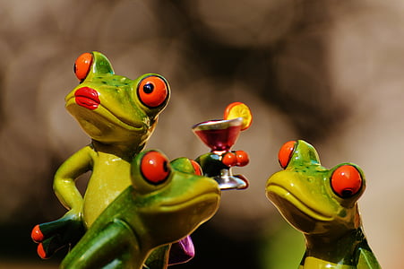 con ếch, giải trí, Đảng, Buồn cười, ếch, cocktail, vui vẻ