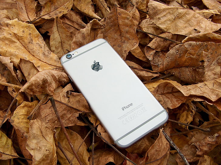 电话, iphone, 秋天, 假期, 自然, 在秋天, 秋天的心情