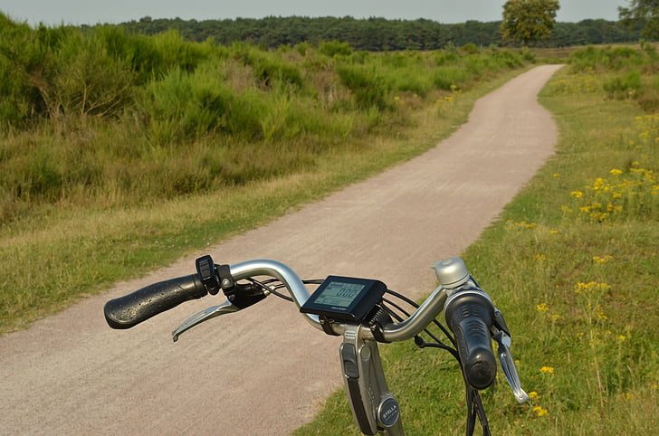 siųsti, dviratis, kelias, dviračių takas, kraštovaizdžio, Gamta