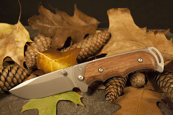 listy, nůž, podzim, lov, přežití, žádní lidé, dřevo - materiál