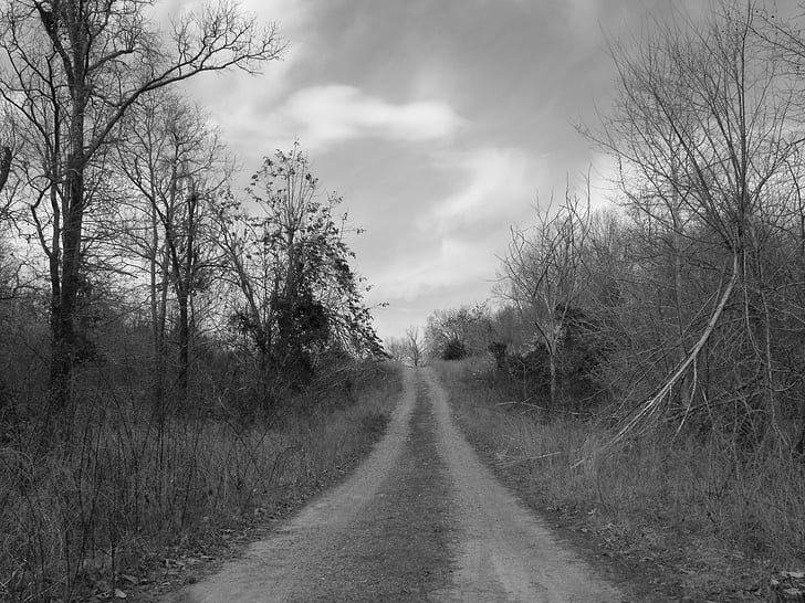 road, country, black and white, country road, landscape, rural, nature