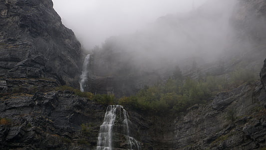 waterfalls, fog, waterfall, green, tree, nature, water