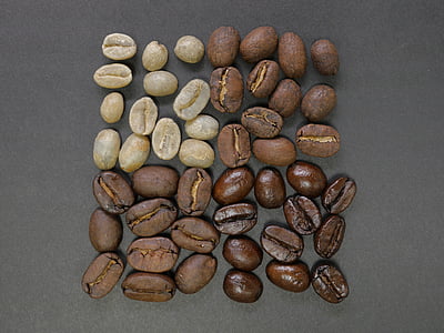coffee beans, square, divisions, differences, ingredient, studio shot, large group of objects