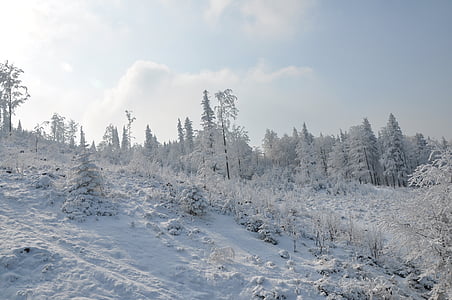 inverno, montagne, neve, bianco, paesaggio, vista, natura