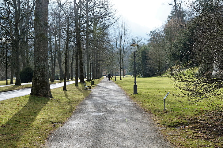 Baden-Baden, Park, natuur, boom, geen mensen, rustige scène, rust
