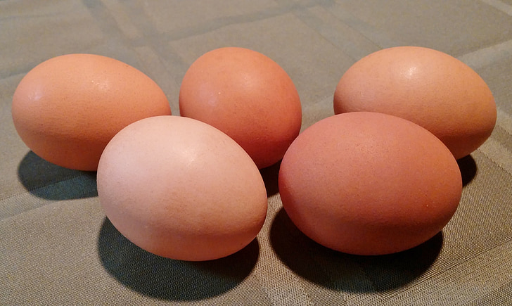 τα αυγά, αυγό, τροφίμων, κέλυφος, κοτόπουλο, πέντε