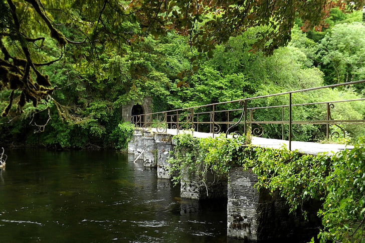 Ierland, County galway, Cong, rivier, brug