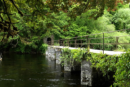 Irlande, Comté de galway, Cong, rivière, pont
