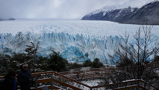 Calafate, daba, Patagonia, šļūdonis, sniega, kalns, aisbergs