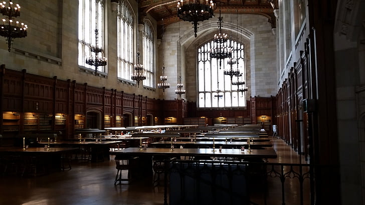 Biblioteca, Universitat, tornada al Cole, tranquil, fosc, estudiants universitaris, Universitat