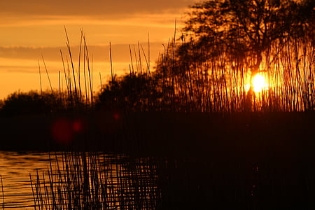 coucher de soleil, Lac, abendstimmung, nature, Dim, eau, paysage