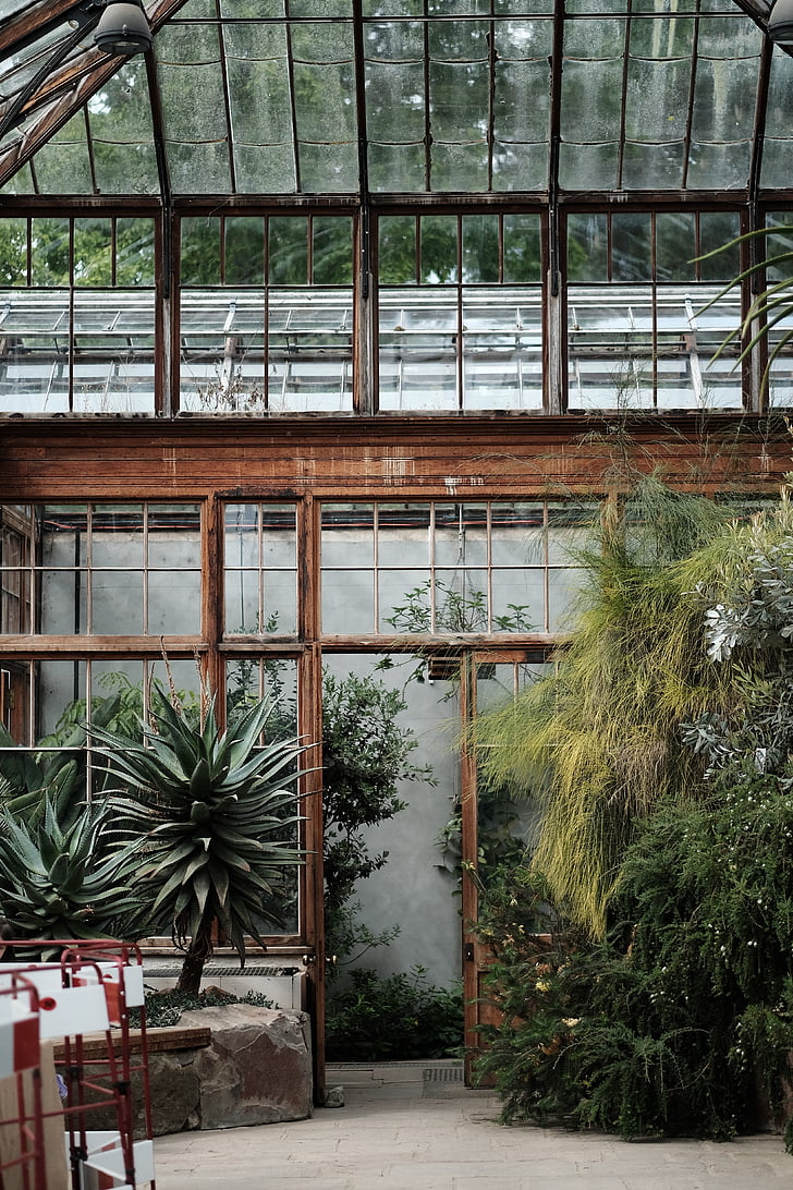 greenhouse, structure, plants, nature, garden, trees, architecture