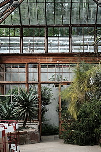greenhouse, structure, plants, nature, garden, trees, architecture