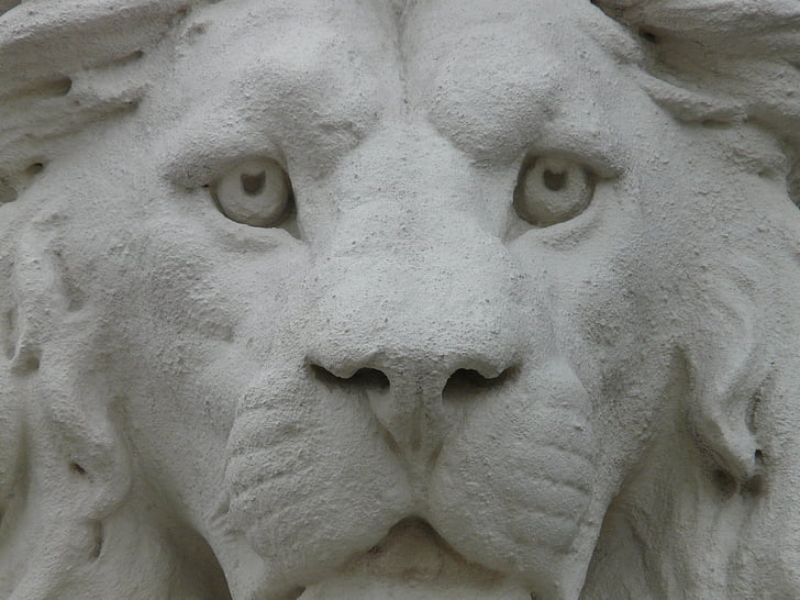 Lion, statue de, Figure, gypse, blanc, animal, visage
