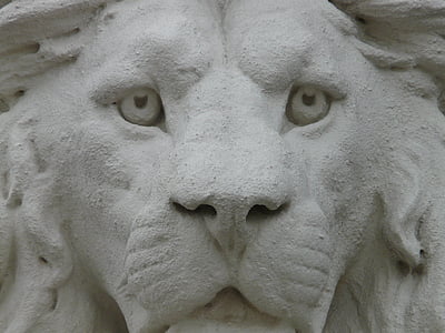 Lauva, statuja, stāvs, ģipšakmens, balta, dzīvnieku, seja